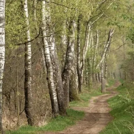 Spacieuse Maison De Village *