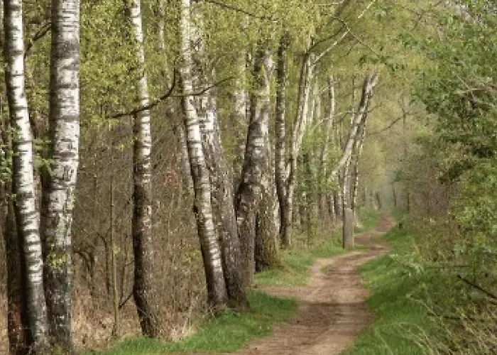 Spacieuse Maison De Village *